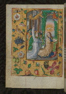 W.437, fol. 19v
