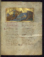 W.521, fol. 88r