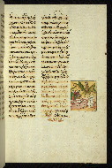 W.535, fol. 26r