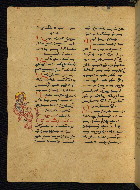 W.541, fol. 205v