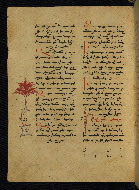 W.541, fol. 213v