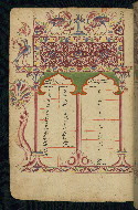 W.543, fol. 20v