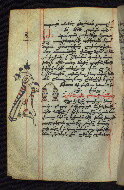W.545, fol. 157v
