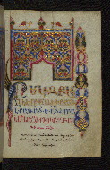 W.546, fol. 219r