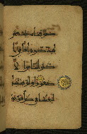 W.555, fol. 8b