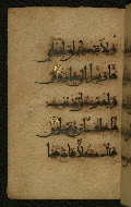W.555, fol. 22a