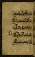W.555, fol. 25a