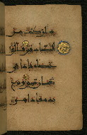 W.555, fol. 26b