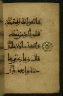 W.555, fol. 41b