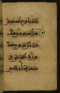 W.555, fol. 42b