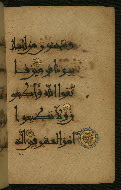 W.555, fol. 48b