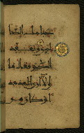W.555, fol. 74b