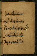 W.555, fol. 80b