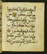W.556, fol. 19b