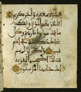 W.556, fol. 101b