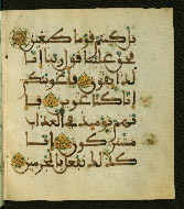 W.556, fol. 118b