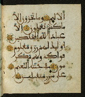 W.556, fol. 119b