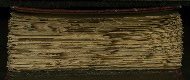 W.556, Fore-edge