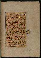 W.559, fol. 9b
