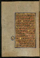 W.559, fol. 13a