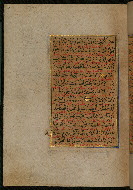 W.559, fol. 31a