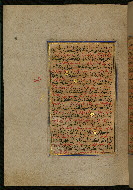 W.559, fol. 41a