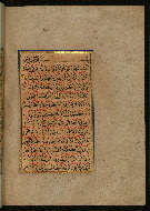W.559, fol. 87b