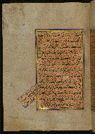 W.559, fol. 101a