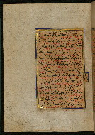 W.559, fol. 105a