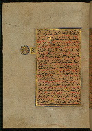 W.559, fol. 113a