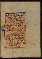 W.559, fol. 113b