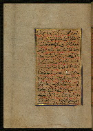 W.559, fol. 115a