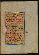 W.559, fol. 123b