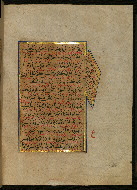 W.559, fol. 141b
