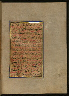 W.559, fol. 177b