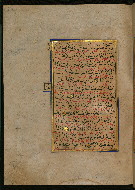 W.559, fol. 204a