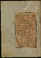W.559, fol. 217a
