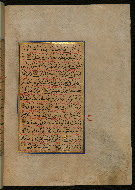 W.559, fol. 224b