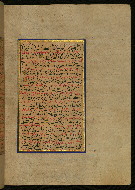 W.559, fol. 246b