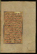 W.559, fol. 252b