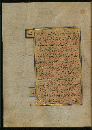 W.559, fol. 254a