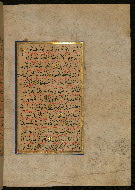 W.559, fol. 255b