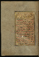 W.559, fol. 289a
