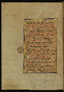 W.559, fol. 304a