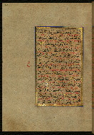 W.559, fol. 313a