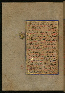 W.559, fol. 315a