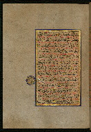 W.559, fol. 319a