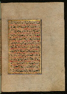 W.559, fol. 331b