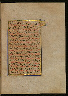 W.559, fol. 337b
