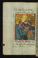 W.592, fol. 41a